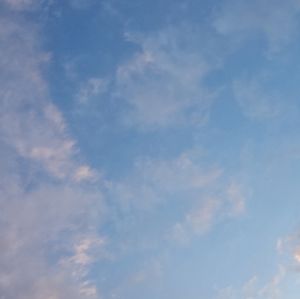 Meet your Posher, Maisyn